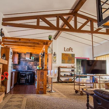 Apartamento Loft La Encina Torrejón el Rubio Exteriör bild