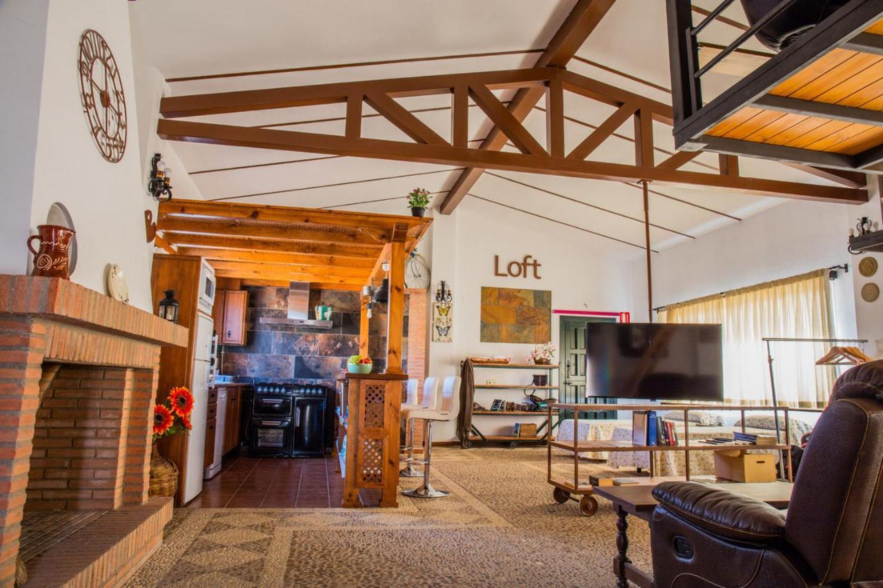 Apartamento Loft La Encina Torrejón el Rubio Exteriör bild